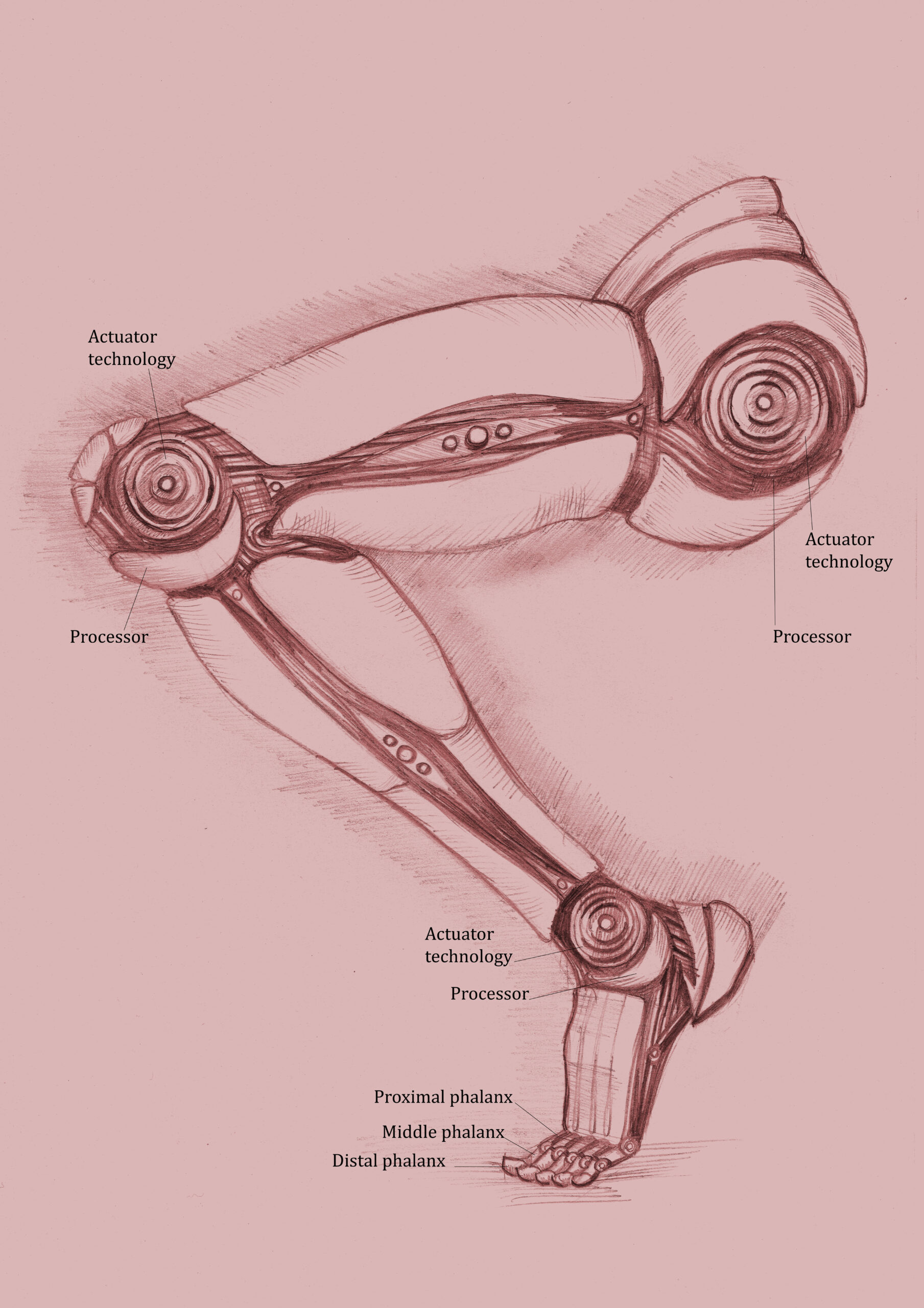enhanced robotics legs